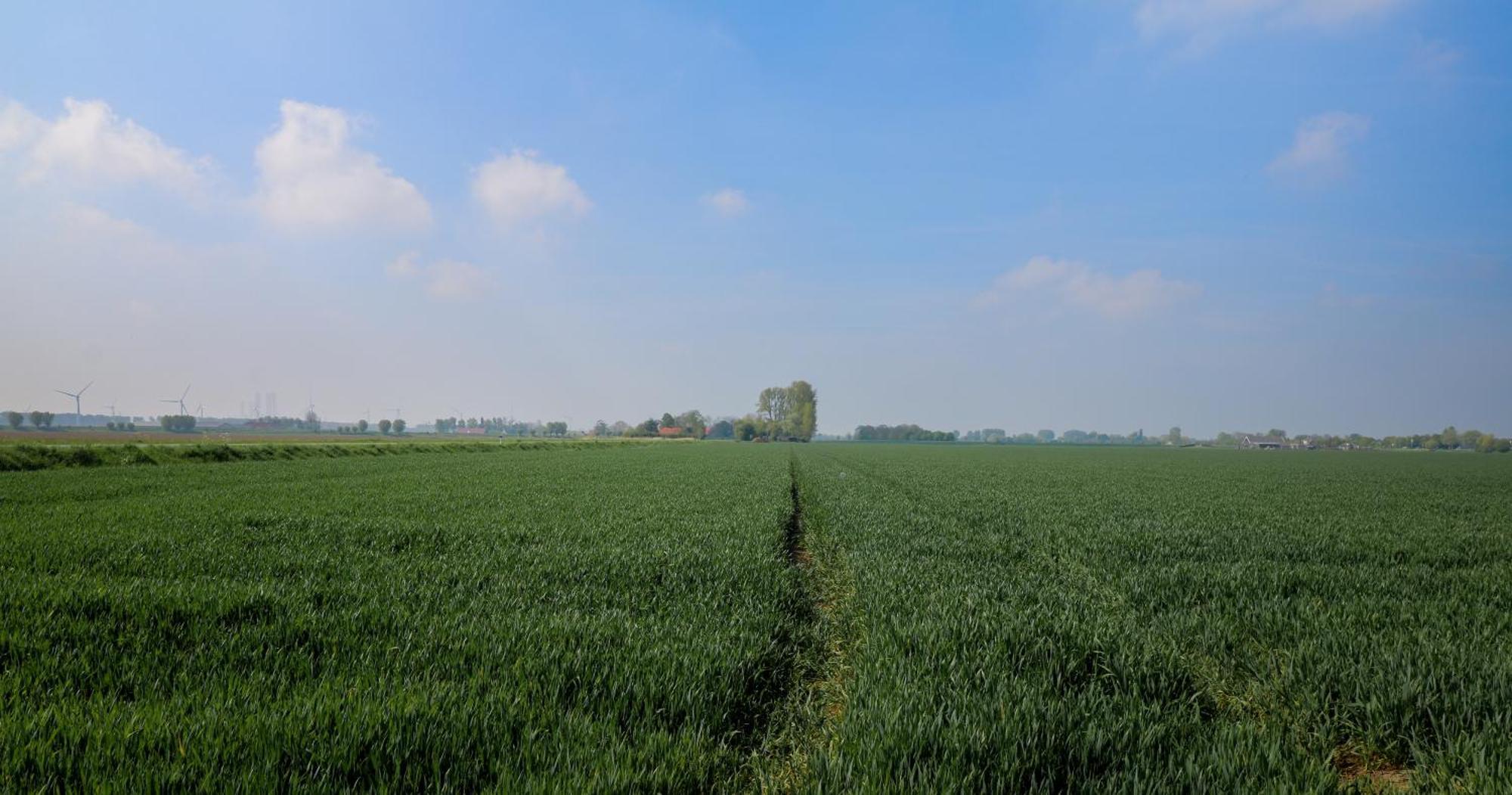 Hof Nieuwerkerk Chalet 2 Arnemuiden Kültér fotó